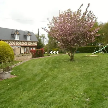 Les Ronces *